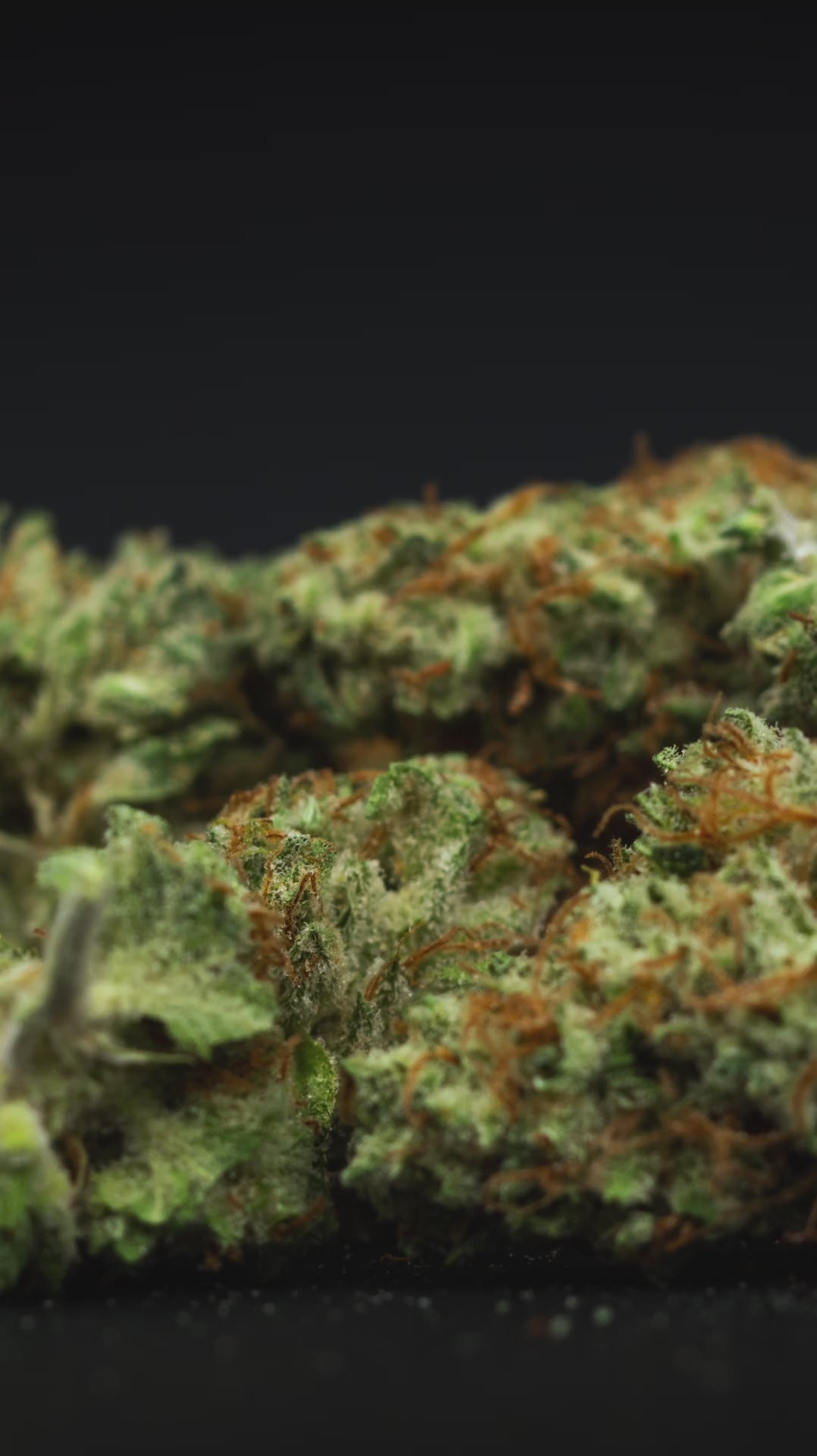 video close up of hemp buds