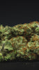 video close up of hemp buds